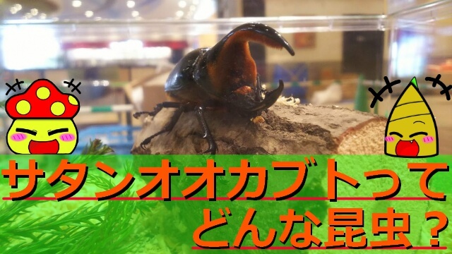 Thumbnail of post image 083